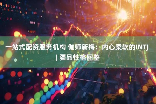 一站式配资服务机构 伽师新梅：内心柔软的INTJ | 疆品性格图鉴