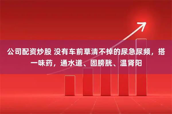 公司配资炒股 没有车前草清不掉的尿急尿频，搭一味药，通水道、固膀胱、温肾阳