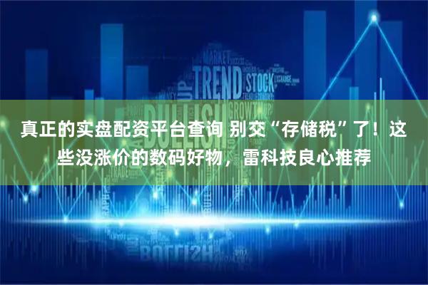 真正的实盘配资平台查询 别交“存储税”了！这些没涨价的数码好物，雷科技良心推荐